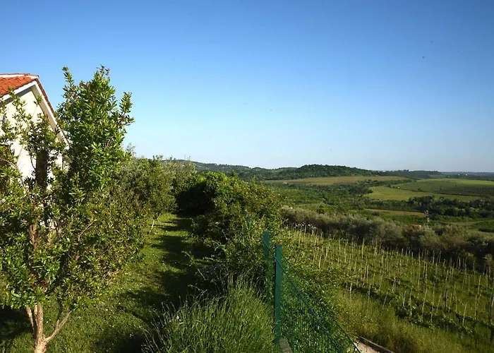 Vakantiehuis Sofia *