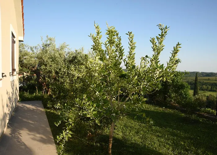 Vakantiehuis Sofia Buje