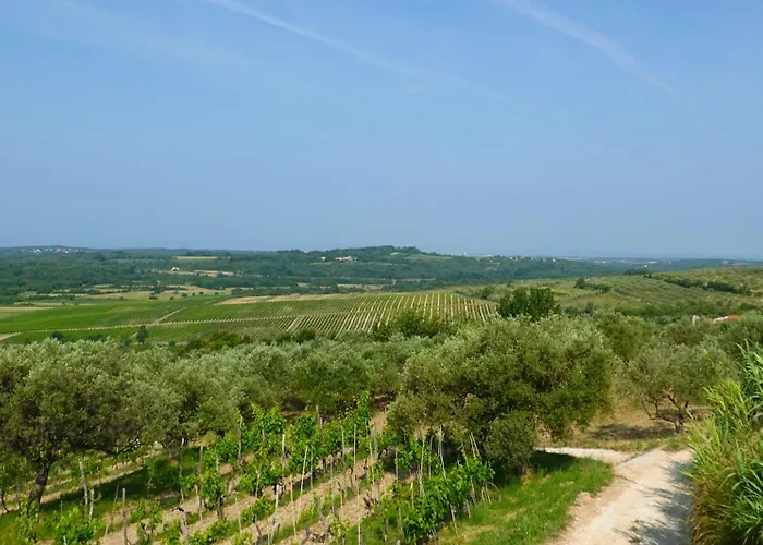 Sofia Vakantiehuis *