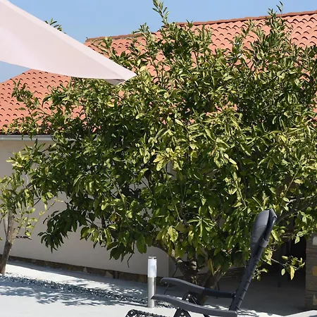Tatil Evi Sofia