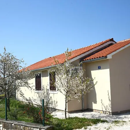 Sofia בוג'ה