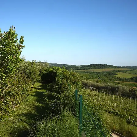 Casa vacanze Sofia *