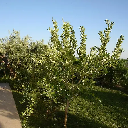 Ferienhaus Sofia Buje